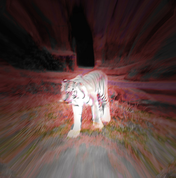 The Hunter