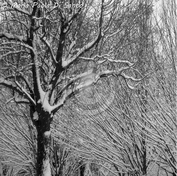 Ascending lines