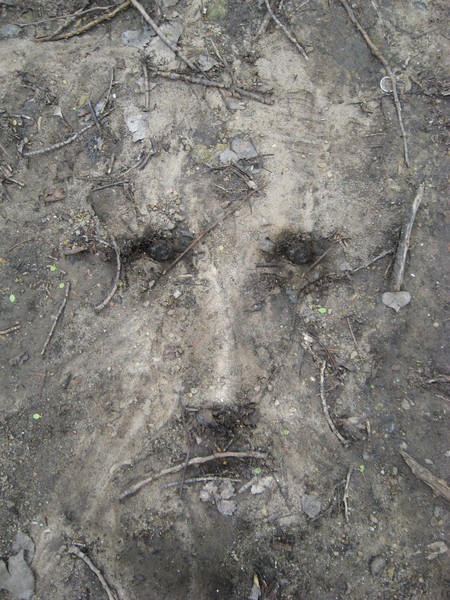 River Bank Man