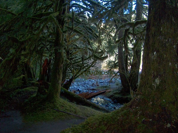 Just a Peek at the River