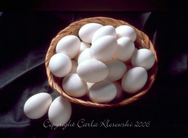 Elegant Eggs