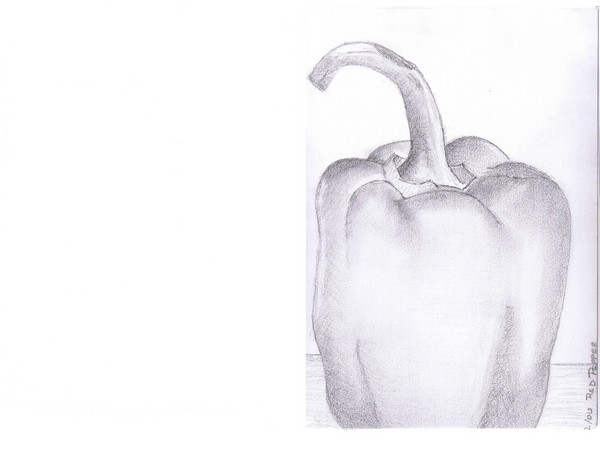 Red Pepper Study