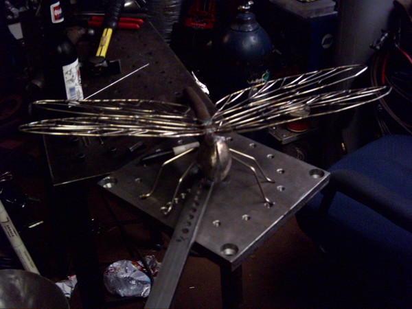 dragonfly