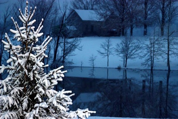 reflection of the snow