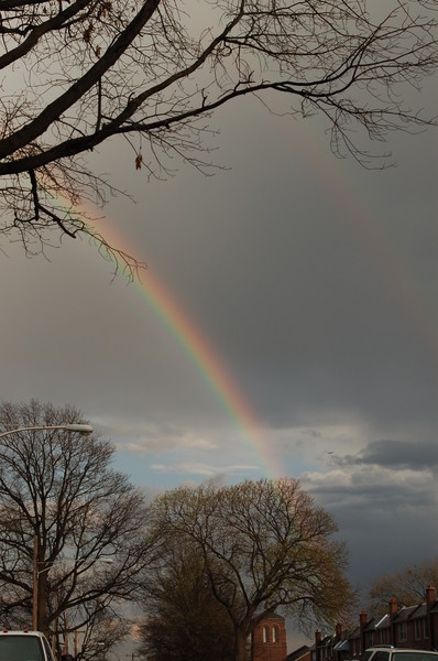 Lucky Rainbows