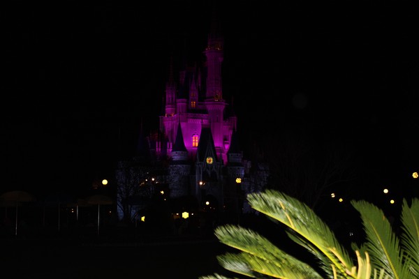 Disney World Castle