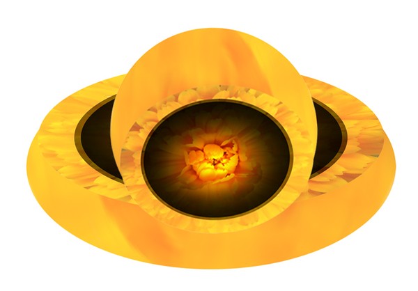 flower pot