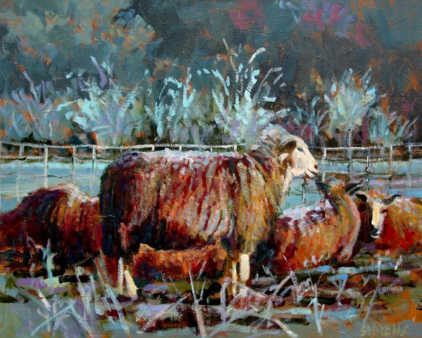 Winter Sheep