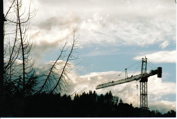 crane n' the sky