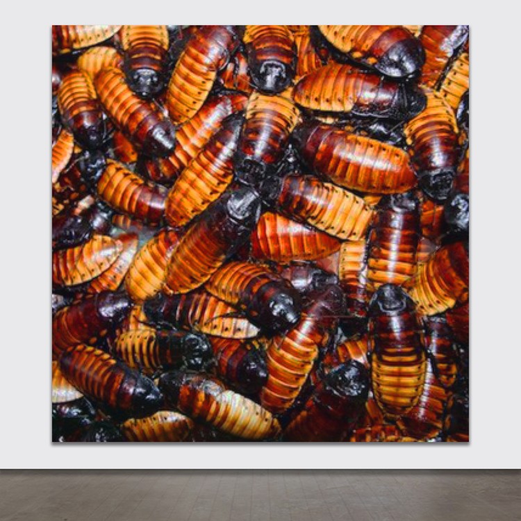 Re: ANDREW CAMPBELL: BRITISH ARTIST: ART STUDIO PROTOTYPES: ANTHROPOLOGICAL NETSCAPES: 33