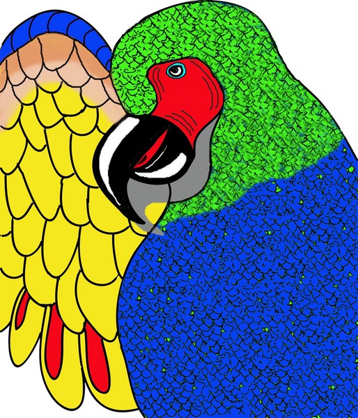 parrot