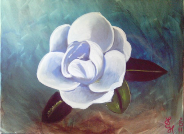 Magnolia