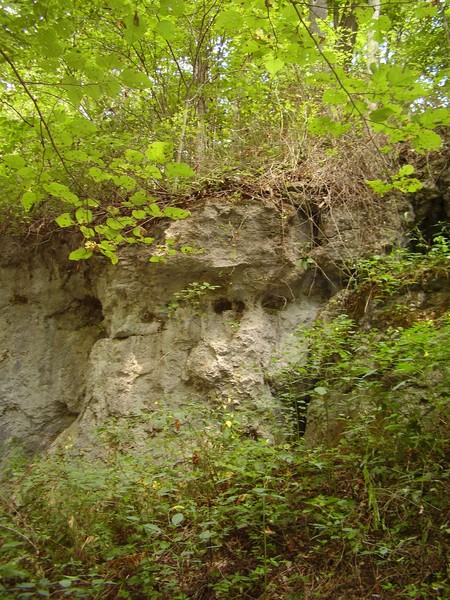 Serpents Stone Wall