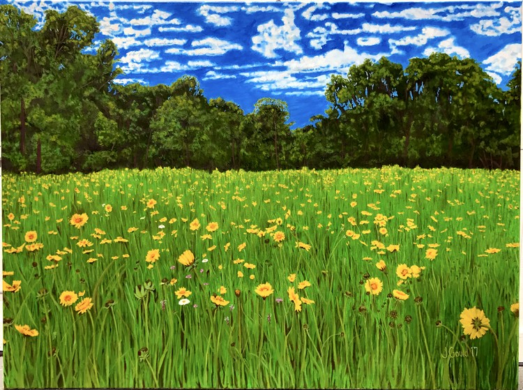 Meadow
