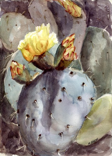 Cactus Flower