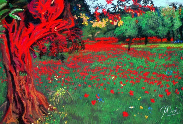 Poppies and an Olive Tree