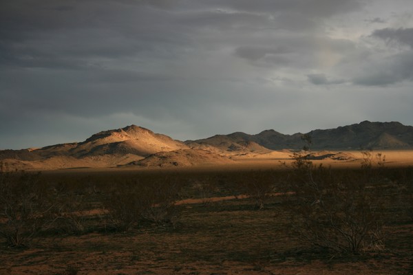 Desert Scene