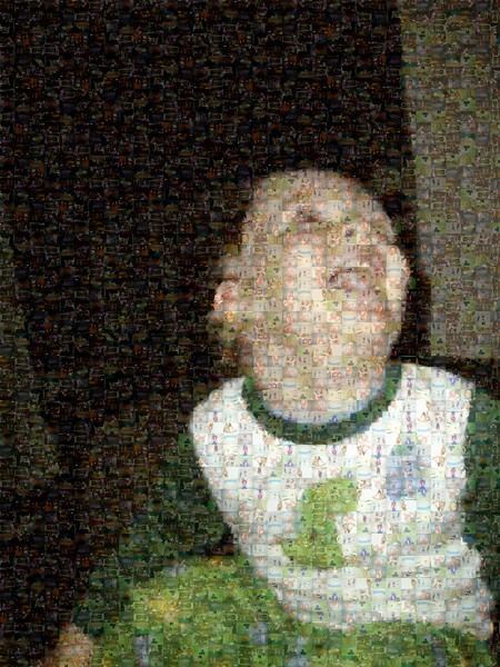 Mosaic of Cameron (EXAMPLE)