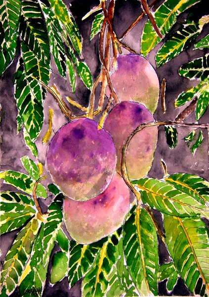 mango tree fruit painting