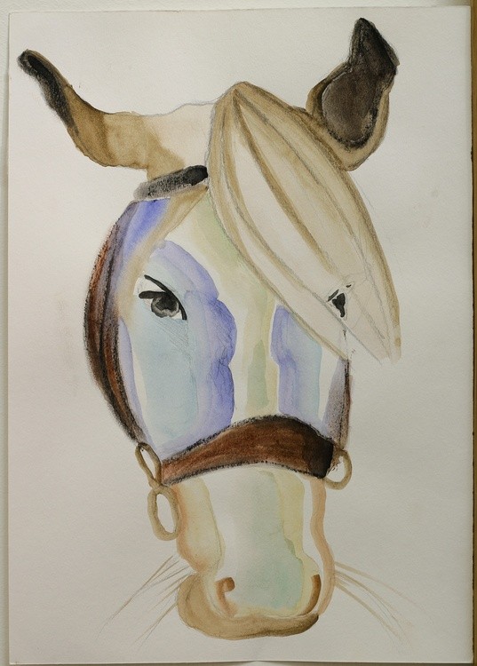 Horse 