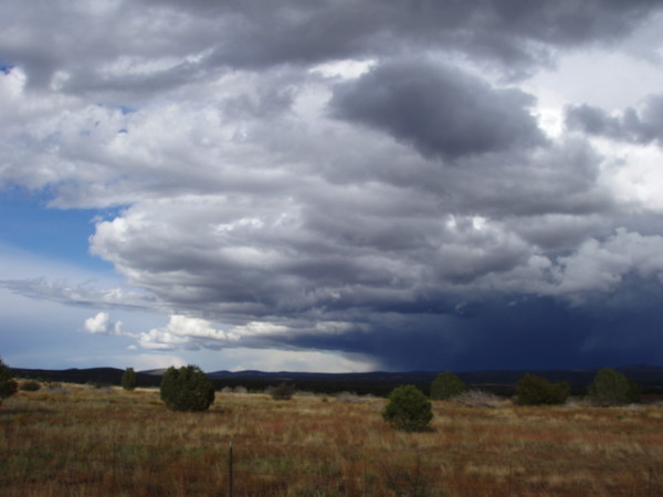 Arizona monsoon