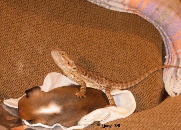 Pssssssssst, wake up sister!!!!!