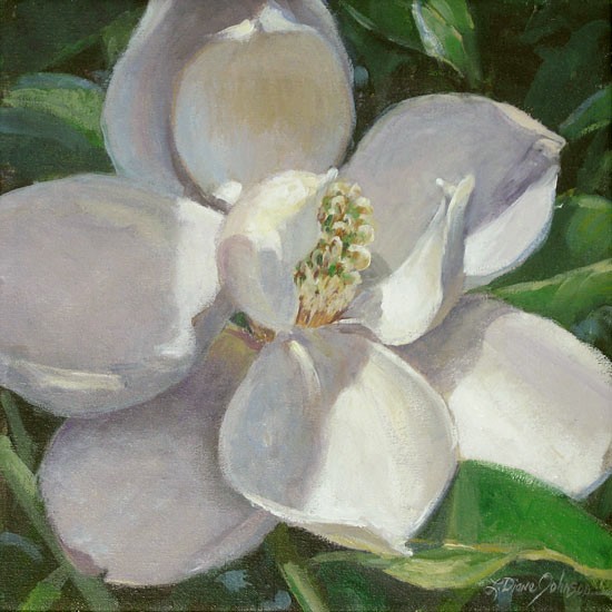 Magnolia