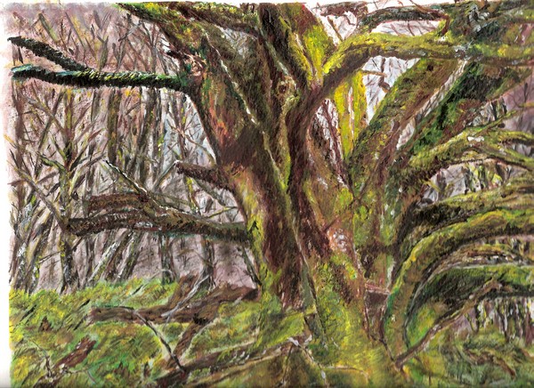 DEAD FORREST