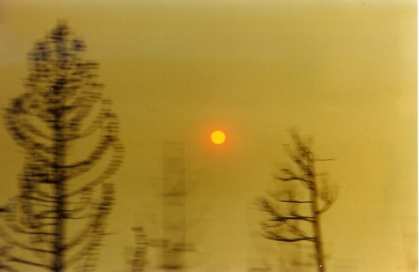 Yellowstone fire