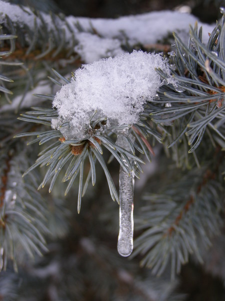 Frozen Moment