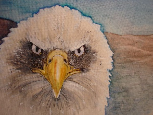 America Is Watching