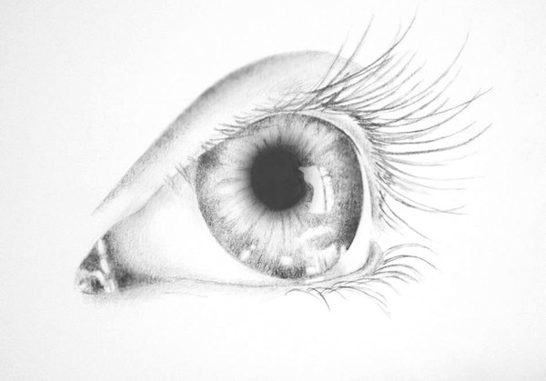 Eye