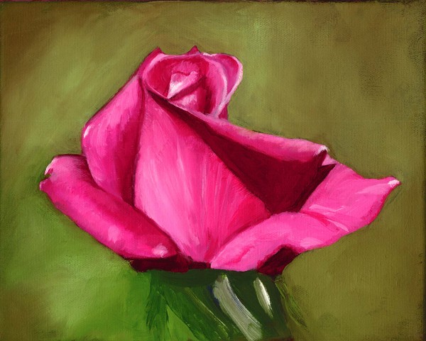 Rose:  First Prize