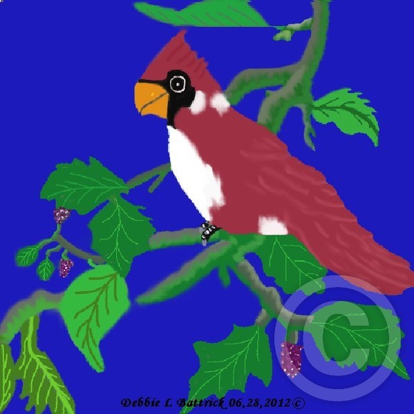 Bird 6
