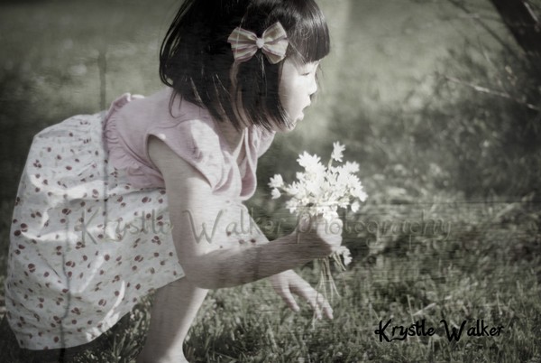 Picking Flowers