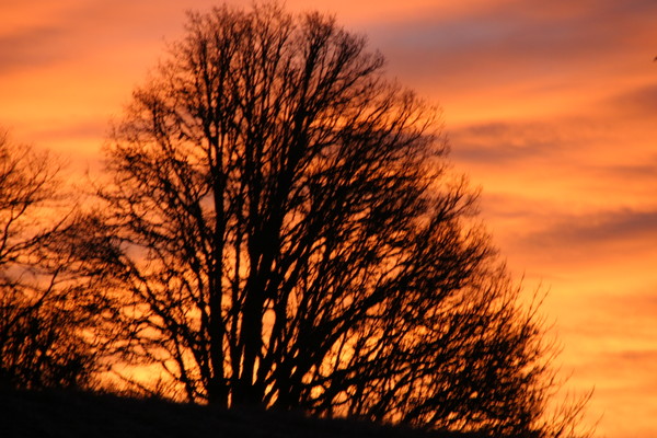 Oregon Sunrise