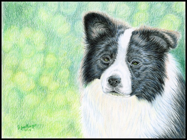 Seven CP Portrait