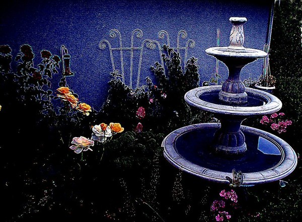 My Secret Garden