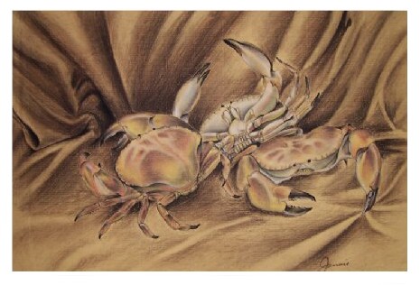 Dancing Crabs