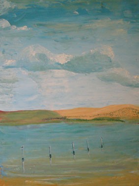 Coorong Water Birds