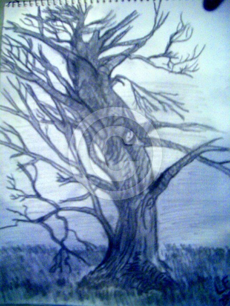 The Tree