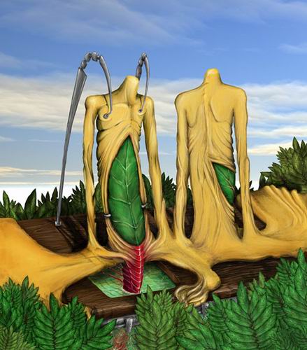 Anatomic Paradise
