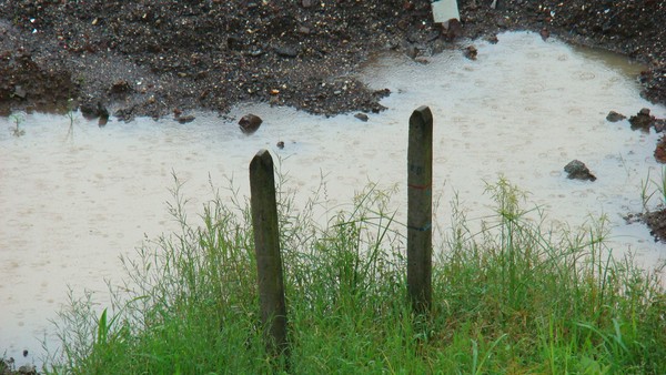 Puddle