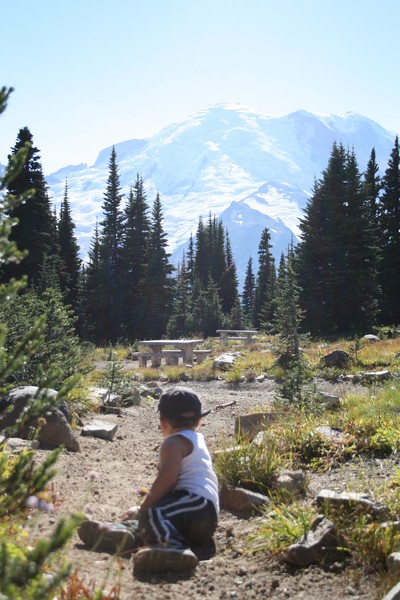 Mt. Rainier and Joshua