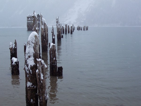 frozen piling