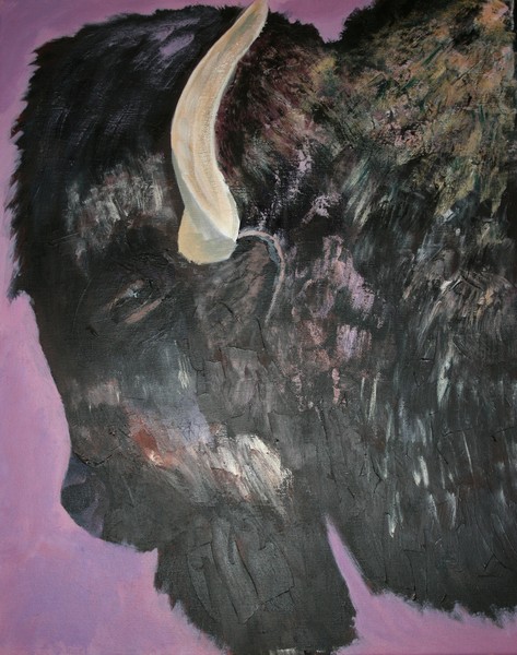 Buffalo Study