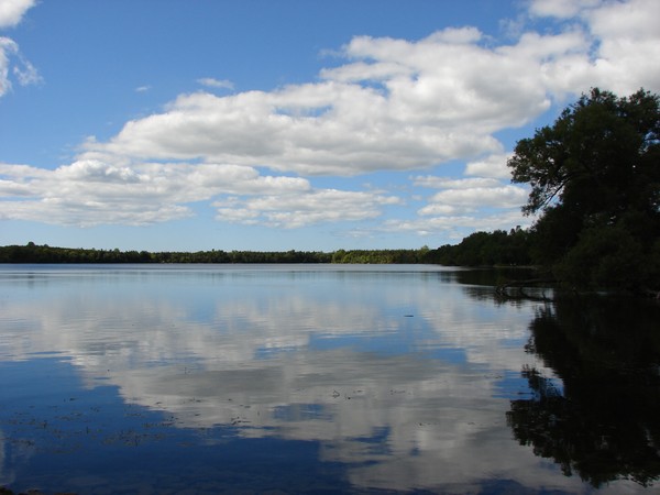 Reflections