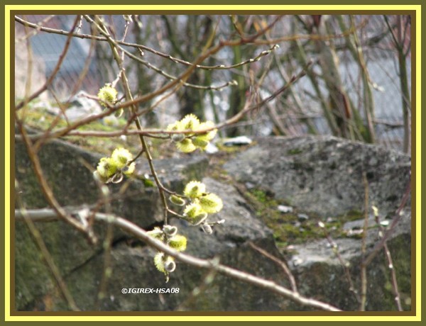 new life...always  and always...