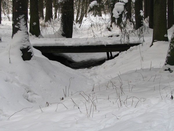 2010-season -winter-bridges