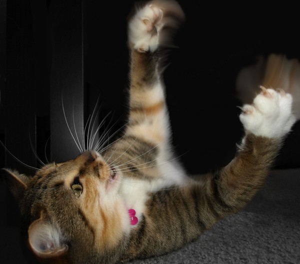 Playing